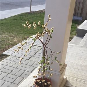 Meet your Posher, Eman